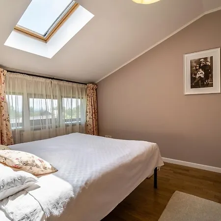 Domeniul Culcer Holiday home